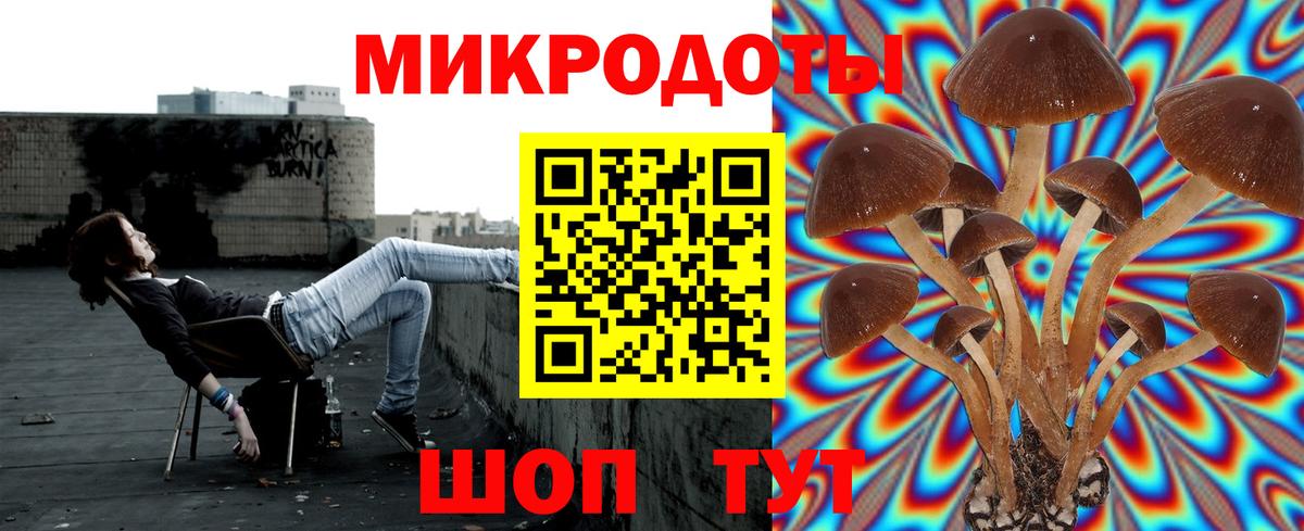 Псилоцибиновые грибы прущие грибы Новошахтинск